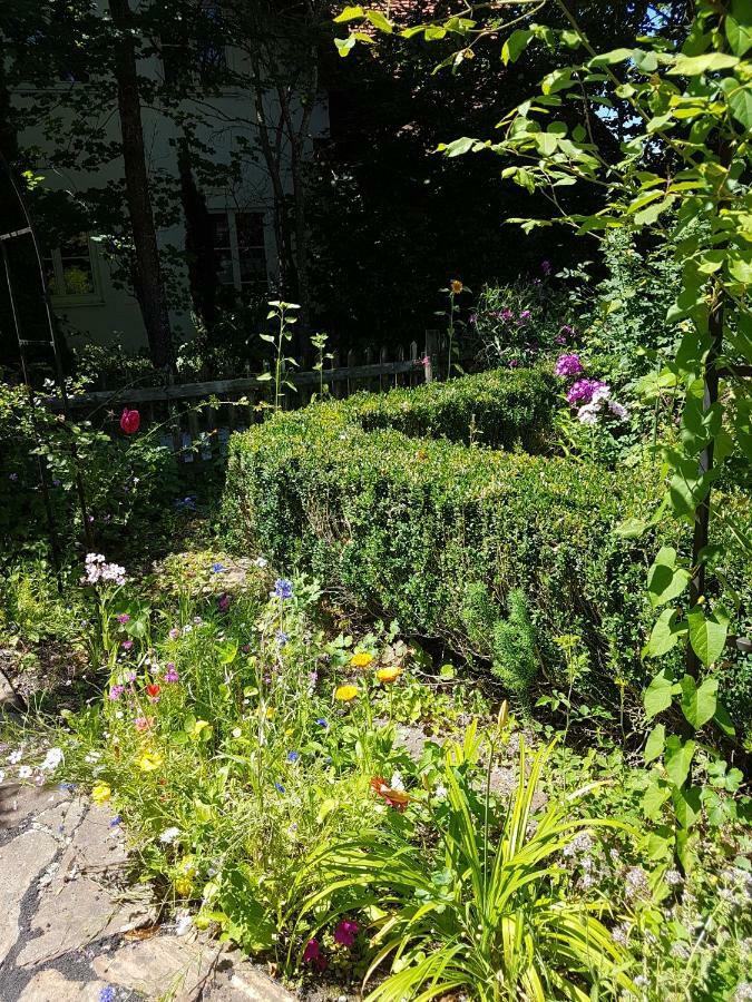 Martina'S Place 罗滕布 外观 照片